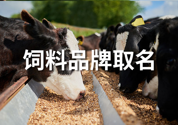 飼料品牌取什么名字好？