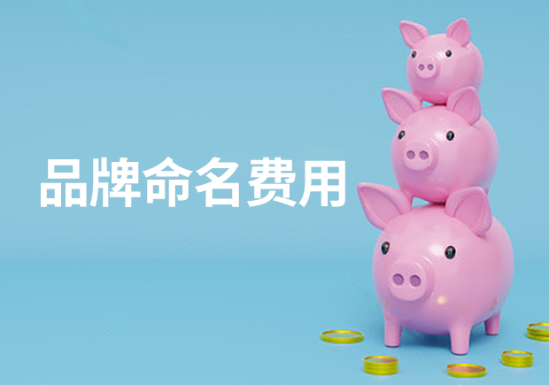 品牌命名費(fèi)用-品牌起名多少錢合適？