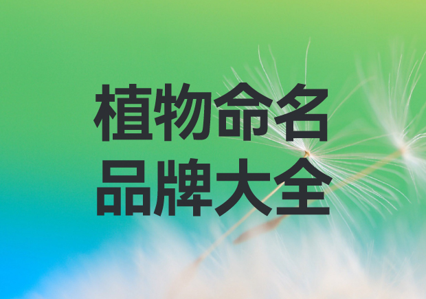 以植物命名的品牌有哪些？