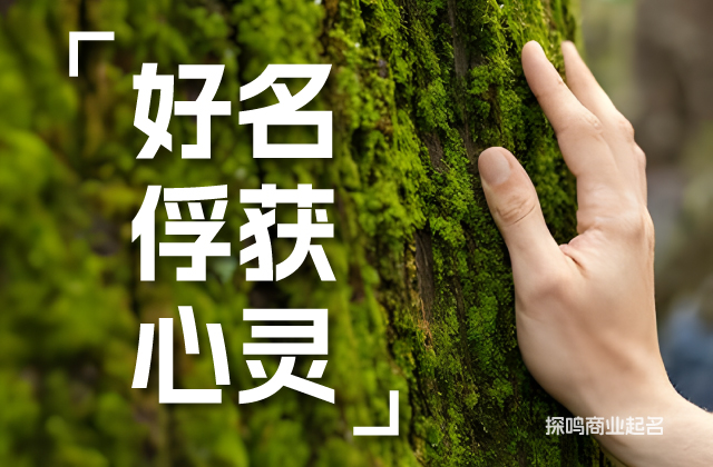 童裝品牌與商標的起名是一項需要綜合考慮獨特性、內(nèi)容豐富性等多方面因素的任務.jpeg